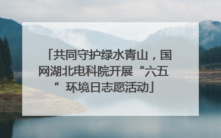共同守护绿水青山，国网湖北电科院开展“六五”环境日志愿活动