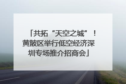 共拓“天空之城”！黄陂区举行低空经济深圳专场推介招商会