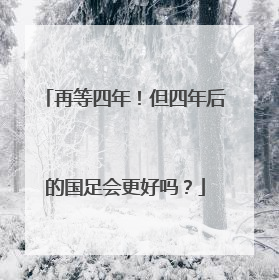 再等四年！但四年后的国足会更好吗？