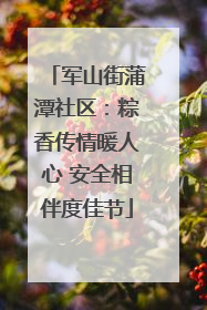 军山街蒲潭社区：粽香传情暖人心 安全相伴度佳节