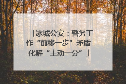 冰城公安：警务工作“前移一步”矛盾化解“主动一分”
