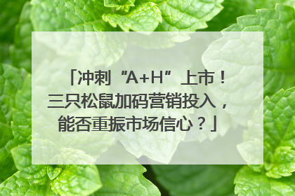 冲刺“A+H”上市！三只松鼠加码营销投入，能否重振市场信心？