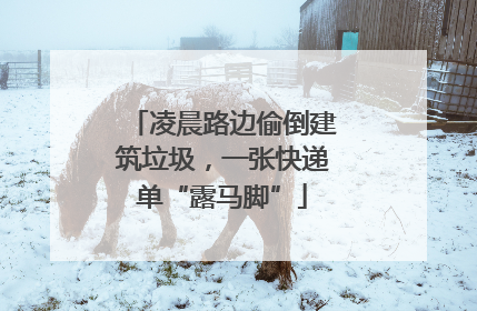 凌晨路边偷倒建筑垃圾，一张快递单“露马脚”