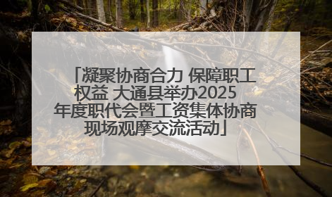 凝聚协商合力 保障职工权益 大通县举办2025年度职代会暨工资集体协商现场观摩交流活动