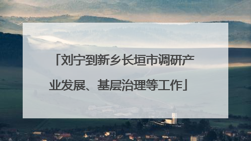 刘宁到新乡长垣市调研产业发展、基层治理等工作
