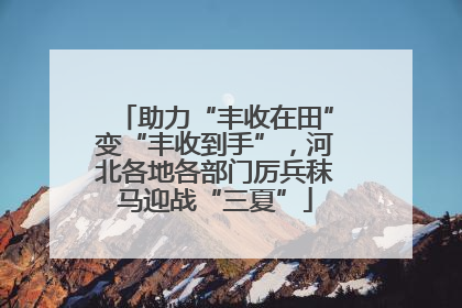 助力“丰收在田”变“丰收到手”，河北各地各部门厉兵秣马迎战“三夏”