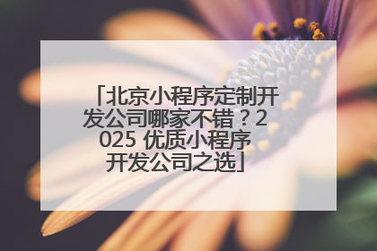 北京小程序定制开发公司哪家不错？2025 优质小程序开发公司之选