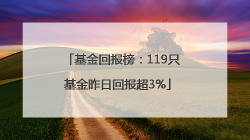 基金回报榜：119只基金昨日回报超3%