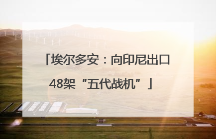 埃尔多安：向印尼出口48架“五代战机”
