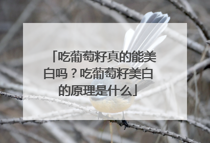 吃葡萄籽真的能美白吗？吃葡萄籽美白的原理是什么
