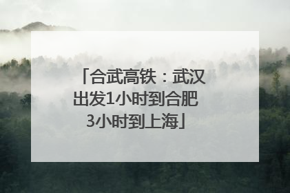合武高铁：武汉出发1小时到合肥3小时到上海