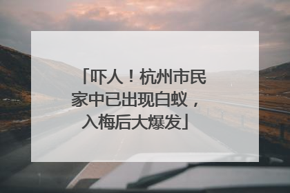吓人！杭州市民家中已出现白蚁，入梅后大爆发