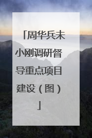 周华兵未小刚调研督导重点项目建设（图）