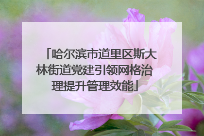 哈尔滨市道里区斯大林街道党建引领网格治理提升管理效能