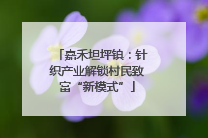 嘉禾坦坪镇：针织产业解锁村民致富“新模式”