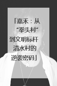 嘉禾：从“拳头村”到文明标杆 清水村的逆袭密码