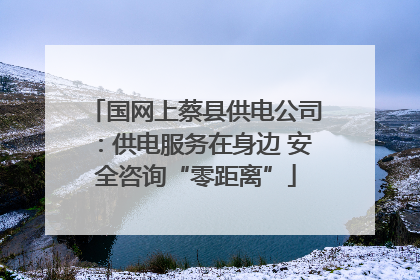 国网上蔡县供电公司：供电服务在身边 安全咨询“零距离”