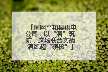 国网平和县供电公司：以“演”筑防，这场联合实战演练超“硬核”