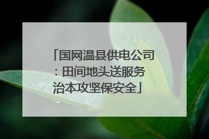 国网温县供电公司：田间地头送服务 治本攻坚保安全