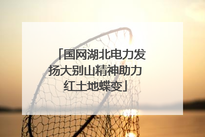 国网湖北电力发扬大别山精神助力红土地蝶变
