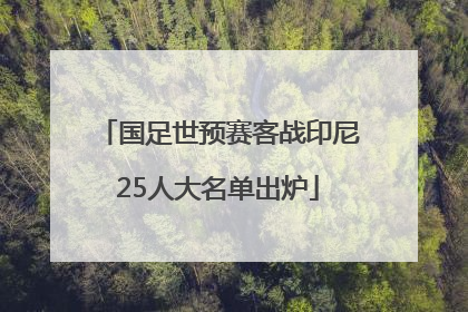 国足世预赛客战印尼25人大名单出炉