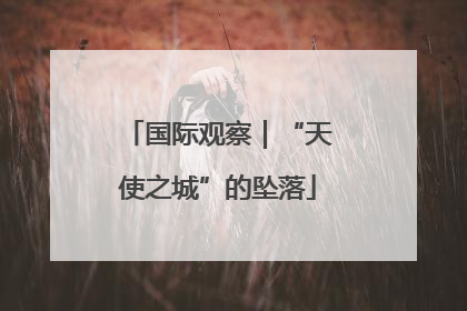 国际观察｜“天使之城”的坠落