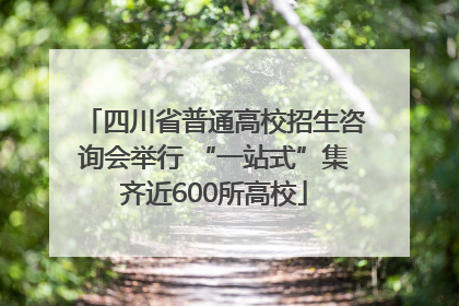 四川省普通高校招生咨询会举行 “一站式”集齐近600所高校