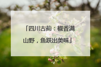 四川古蔺：椒香满山野，鱼跃出美味