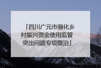 四川广元市强化乡村振兴资金使用监管突出问题专项整治