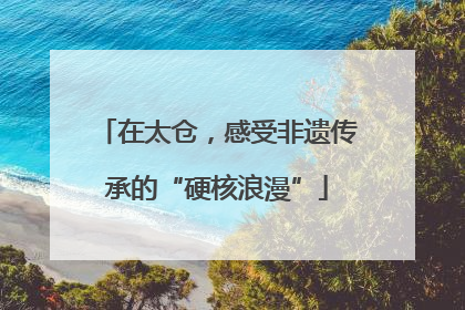 在太仓，感受非遗传承的“硬核浪漫”