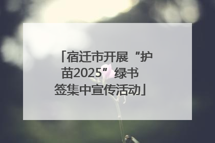 宿迁市开展“护苗2025”绿书签集中宣传活动