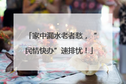 家中漏水老者愁，“民情快办”速排忧！