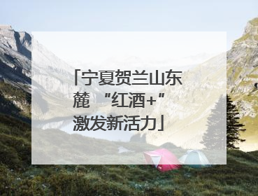 宁夏贺兰山东麓 “红酒+”激发新活力