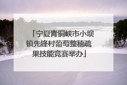 宁夏青铜峡市小坝镇先锋村葡萄整穗疏果技能竞赛举办