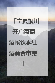 宁夏银川 开启葡萄酒畅饮季红酒美食市集