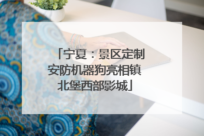 宁夏：景区定制安防机器狗亮相镇北堡西部影城
