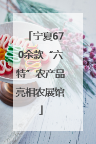 宁夏670余款“六特”农产品亮相农展馆