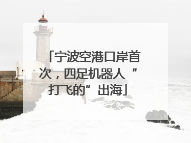 宁波空港口岸首次，四足机器人“打飞的”出海
