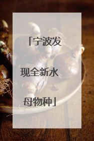 宁波发现全新水母物种