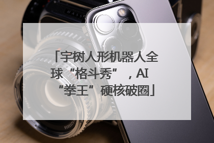 宇树人形机器人全球“格斗秀”，AI“拳王”硬核破圈