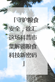 守护粮食安全，徐汇这场科普市集解锁粮食科技新密码