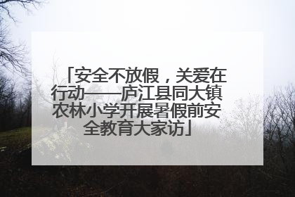安全不放假，关爱在行动——庐江县同大镇农林小学开展暑假前安全教育大家访