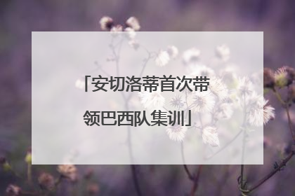 安切洛蒂首次带领巴西队集训