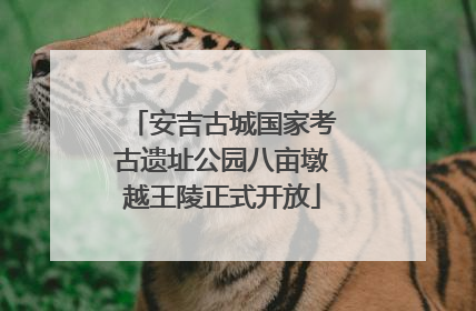安吉古城国家考古遗址公园八亩墩越王陵正式开放