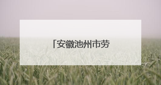 安徽池州市劳模先进事迹宣讲活动走进校园
