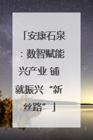 安康石泉：数智赋能兴产业 铺就振兴“新丝路”