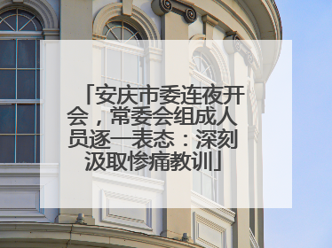 安庆市委连夜开会，常委会组成人员逐一表态：深刻汲取惨痛教训