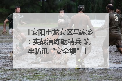 安阳市龙安区马家乡：实战演练砺精兵 筑牢防汛“安全堤”