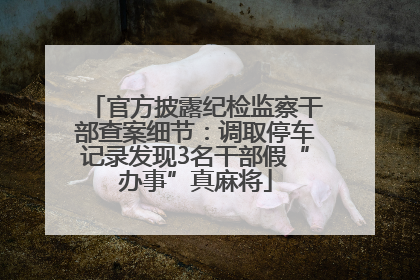 官方披露纪检监察干部查案细节：调取停车记录发现3名干部假“办事”真麻将