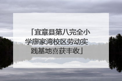 宜章县第八完全小学廖家湾校区劳动实践基地喜获丰收